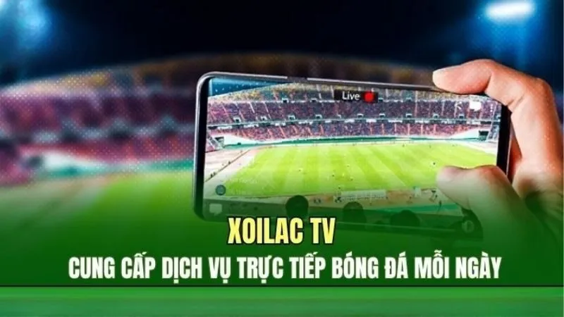 huong-dan-truy-cap-va-toi-uu-trai-nghiem-nguoi-dung